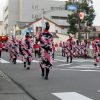 阿久根みどこい夏まつり2017｜鹿児島県阿久根市