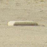 夏の甲子園2017 神村学園(鹿児島県)-明豊(大分県)3回戦試合結果スコア