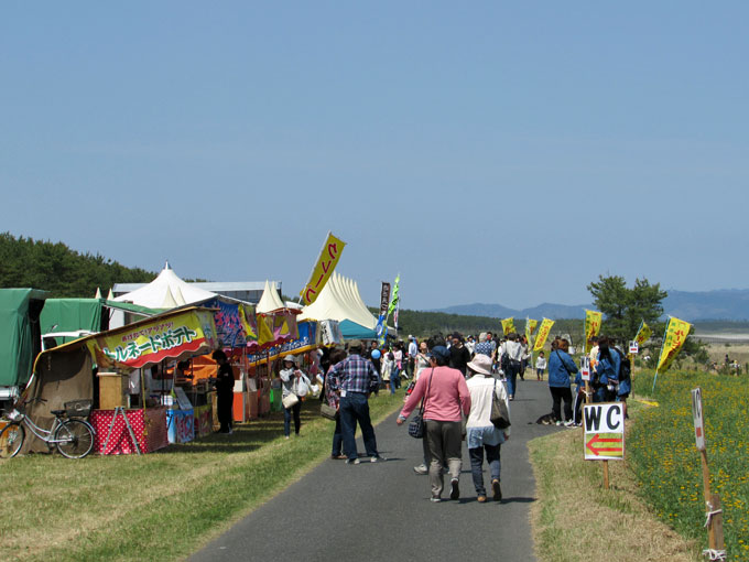 ルーピン祭り 潮干狩り 志布志石油備蓄基地近く柏原海岸