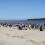 ルーピン祭り&潮干狩り 志布志石油備蓄基地近く柏原海岸